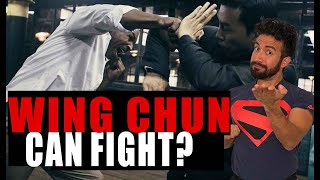 YES You Can Use WING CHUN To Fight [upl. by Thibaud]