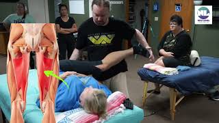 Hip Mobilization for Low Back Pain in Supine Table Thai Massage [upl. by Malita]