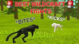 WILDCRAFT FIGHTS AND ARGUMENTS Part One [upl. by Stephanie]