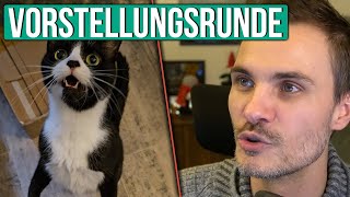 Katzen stellen sich vor Wer ist wer [upl. by Sundin]