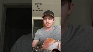 Zombies by the cranberries cover but Travis Needham Find me on tik tok [upl. by Carvey]