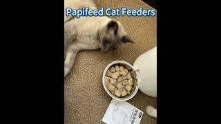 Papifeed Smart Automatic Cat Feeders [upl. by Siron]