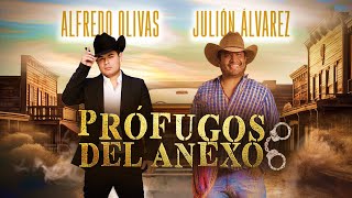 Profugos Del Anexo  Julión Álvarez y Alfredo Olivas quotEn las buenas y en las malasquot [upl. by Niltiak894]