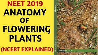 NCERTChapter 6Anatomy of Flowering PlantsClass 11Quick Revision SeriesNEETAIIMSBiology [upl. by Adora]