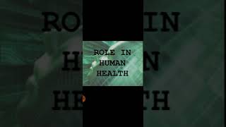 Role of Information Technology in Environment and Human Health [upl. by Altman]