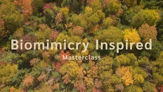 ThinkOutside with Biomimicry  Biomimicry Explained [upl. by Berry512]