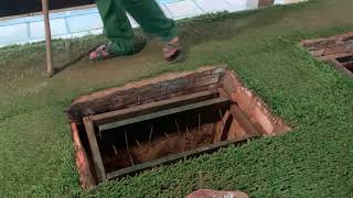 Cu Chi Tunnels Vietnam [upl. by Miksen]