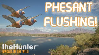 HOW TO FLUSH PHESANTS IN COTW  Rancho Del Arroyo  TheHunter Call of the Wild [upl. by Nekcarb559]