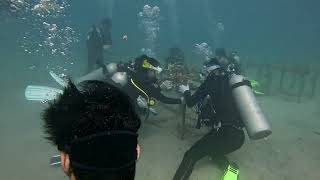 Malaysia Pulau Tioman Coral Awareness Event 2024 [upl. by Aihseya]