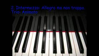 Johannes Brahms Piano Quartet Op25 No1 35 [upl. by Ambrosio944]