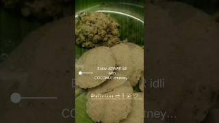 makingof JOWAR IDLY jowarrecipes  healthybreakfastrecipe [upl. by Hcardahs]