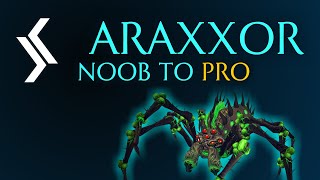 Rax Noob To Pro  Araxxor Solo Guide Ranged  RuneScape 3 [upl. by Bohlen576]