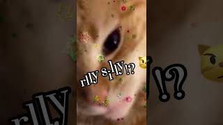 Are you rwelly swilly 3 cat rizz viralvideo [upl. by Negriv]