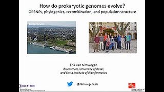 Erik van Nimwegen Prokaryotic genome evolution [upl. by Drue796]