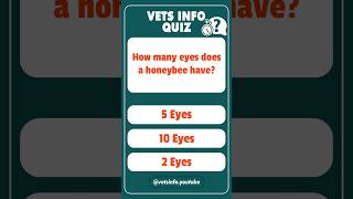 Animal Quiz 🐝 shorts trivia quizgame quiztime animals [upl. by Nnasor]