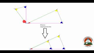 semejanza de triángulos  ángulos y lados homólogos [upl. by Chu]