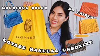 Goyard Rouette Handbag Unboxing💙💚🧡 [upl. by Omocaig15]