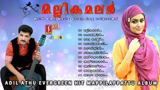 Mallika malar Athil Athu Hits Romantic Mappilapattu album ഹിറ്റ് മാപ്പിളപ്പാട്ടുകൾ [upl. by Aradnahc]