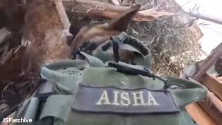 Oketz K9 dog named Aisha inspecting rubble in Gaza [upl. by Tartaglia33]