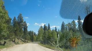 Kaibab N Forest Road 22 South of Jacob Lake [upl. by Ramma]