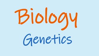 Year 10 Genetics [upl. by Nordine]