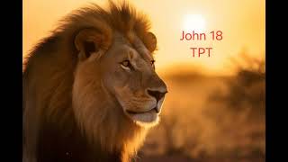 John 18 The Passion Translation TPT Audio Bible [upl. by Liahus774]