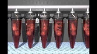 7 Human Cloning  Bioetika dalam Bingkai Hukum Positif Indonesia [upl. by Wilfreda]