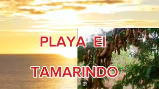 VAMOS A LA PLAYA EL TAMARINDO EL SALVADOR [upl. by Rhynd]