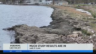 Officials announce testing of mysterious muck on shoreline of Lake St Clair [upl. by Ettelliw]