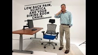 Dining room chairs Low Back Pain Sciatica and how a Lumbar Cushion can help [upl. by Tess435]