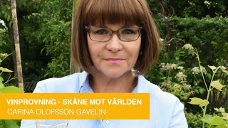 Vinprovningen  Skåne mot Världen [upl. by Adnuhsat678]