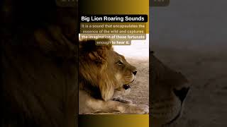 Big Lion Roaring Sounds [upl. by Irehc590]