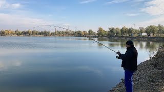 Majosházán a Harcsa horgásztón ősszel Harcsa fishing lake in Majosháza in autumn [upl. by Nahguav]