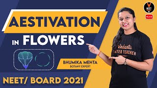 Aestivation In Flowers  NEET Biology  NEET 2021 Preparation  Bhumika Maam  Vedantu NEET [upl. by Kcirttap]