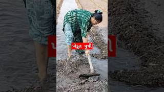 ખેડૂતપુત્રી  ખેતી  tranding short  farmers daughter  Jagruti lifestyle vlog [upl. by Adriano458]