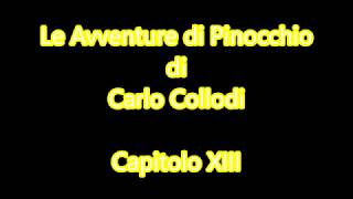 Audiolibro C Collodi Le Avventure di Pinocchio  Capitolo XIII [upl. by Landri]