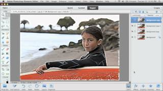 Photoshop Elements 11 Filter Effects [upl. by Junia]