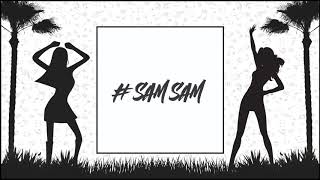 SAMSAM x MII GII  NUF A DEM Audio 2019 [upl. by Adiene]