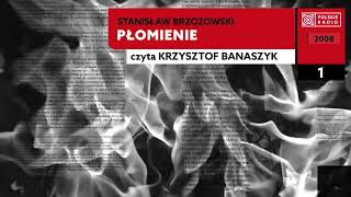 Płomienie czI 01  Stanisław Brzozowski  Audiobook po polsku [upl. by Prud]