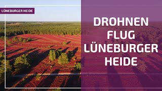 Lüneburger Heide  mit der Drohne über die Heide [upl. by Patten]