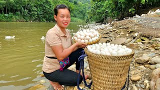 Harvesting Duck Eggs Bringing to the Market  Daily Work at the Farm  Pet care  Trieu Mai Huong [upl. by Eiralam]