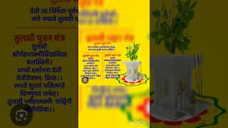 Sandhya bhajan Tulsi maa bhajan kartika mah [upl. by Swetlana711]