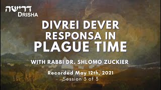 Divrei Dever Responsa in Plague Time Part 3 of 3 [upl. by Yeliac]