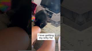 Getting my Kitty Fix catsitting [upl. by Nnyleahs216]