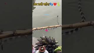 जय छठी मईया❤️ 👣🐍chhathpuja chhath biharchhath chhathgeet viralvideo shorts snake bihar [upl. by Otecina]