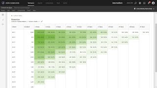 Overview of Cohort Tables in Analysis Workspace [upl. by Frederick]