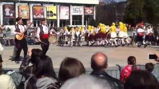 Чудесия Добруджански танц Веселите музиканти Концерт за 03 март грПазарджик [upl. by Tlevesor]