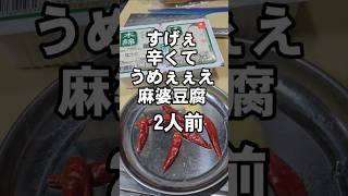 今まで食ってきた麻婆豆腐ってなんだったん？うますぎて気絶する [upl. by Ecinue]