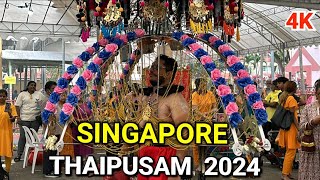 Thaipusam 2024  Thaipusam Singapore  Singapore Thaipusam 2024 [upl. by Osnerol82]