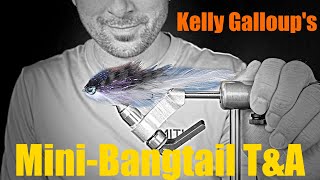 Fly Tying  Kelly Galloups MiniBangtail [upl. by Aibara]